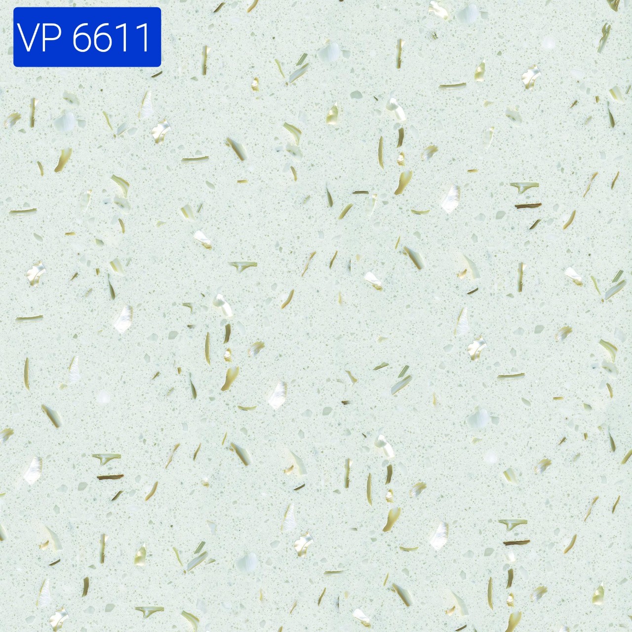 VP6611