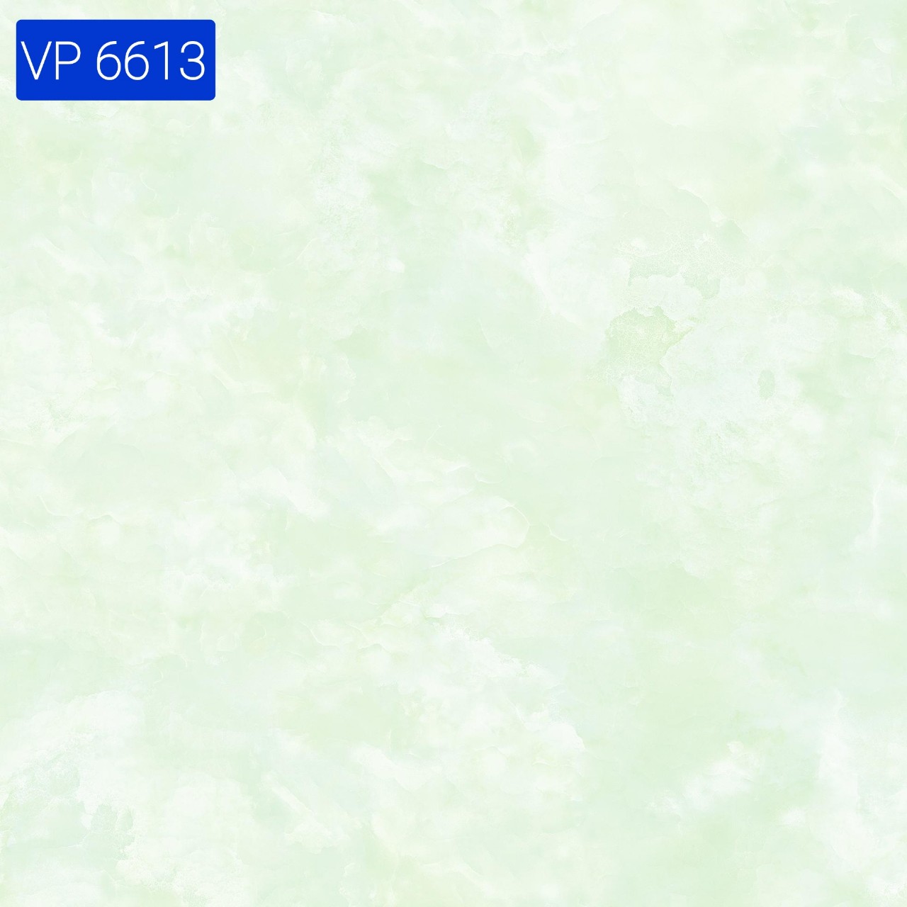 VP6613